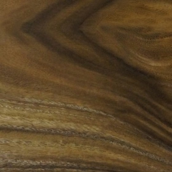 モンキーポッド