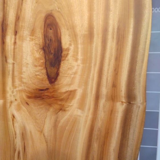 クス一枚板[1800-800]