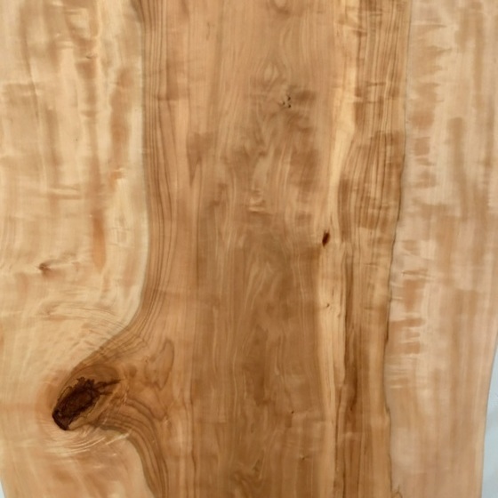 トチ一枚板[1640-730]