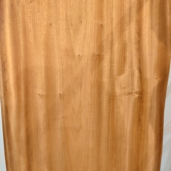 クス一枚板[1655-820]