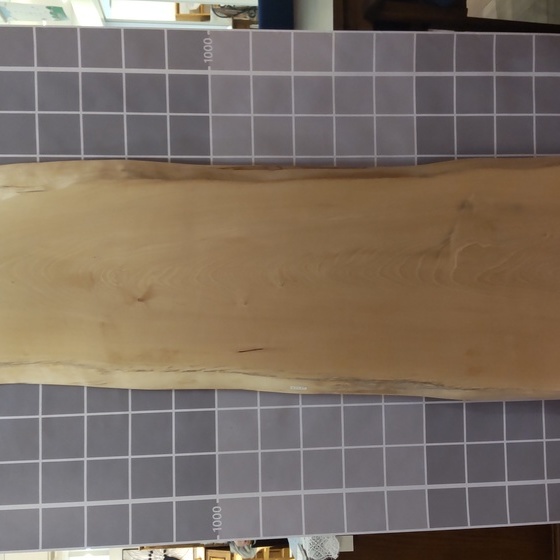 トチ一枚板[1505-550]