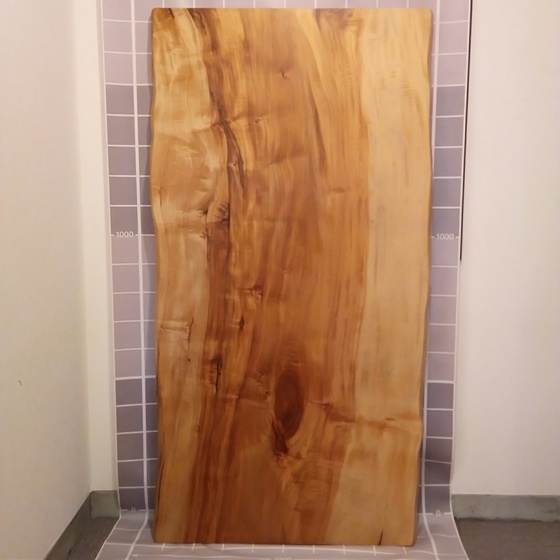 トチ一枚板[1755-900]