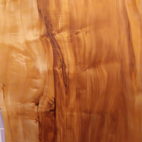 トチ一枚板[1755-900]