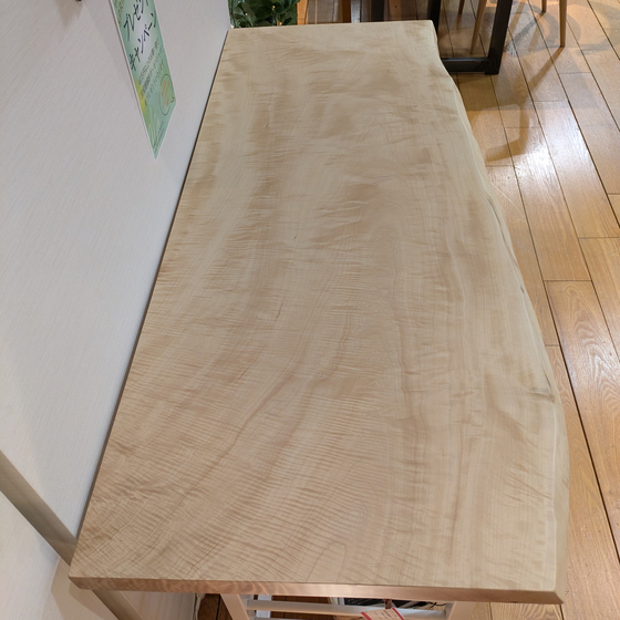 トチ一枚板[1505-600]