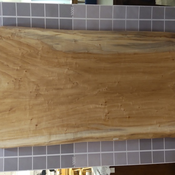 ポプラ一枚板[1510-780]