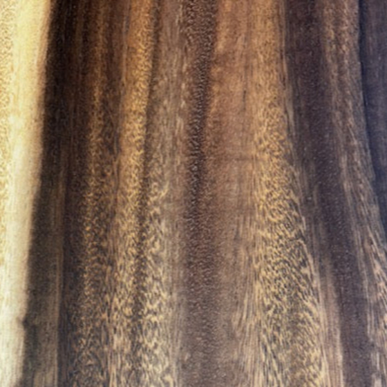 モンキーポッド一枚板[1800-820]