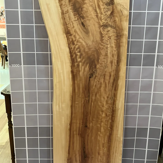 トチ一枚板[1605-550]