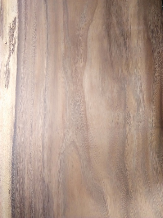 モンキーポッド一枚板[1650-540]