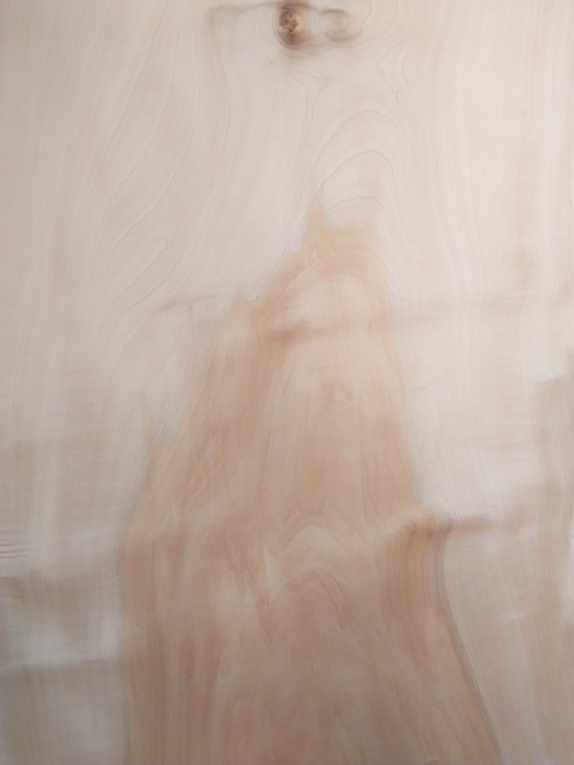 トチ一枚板[1510-580]