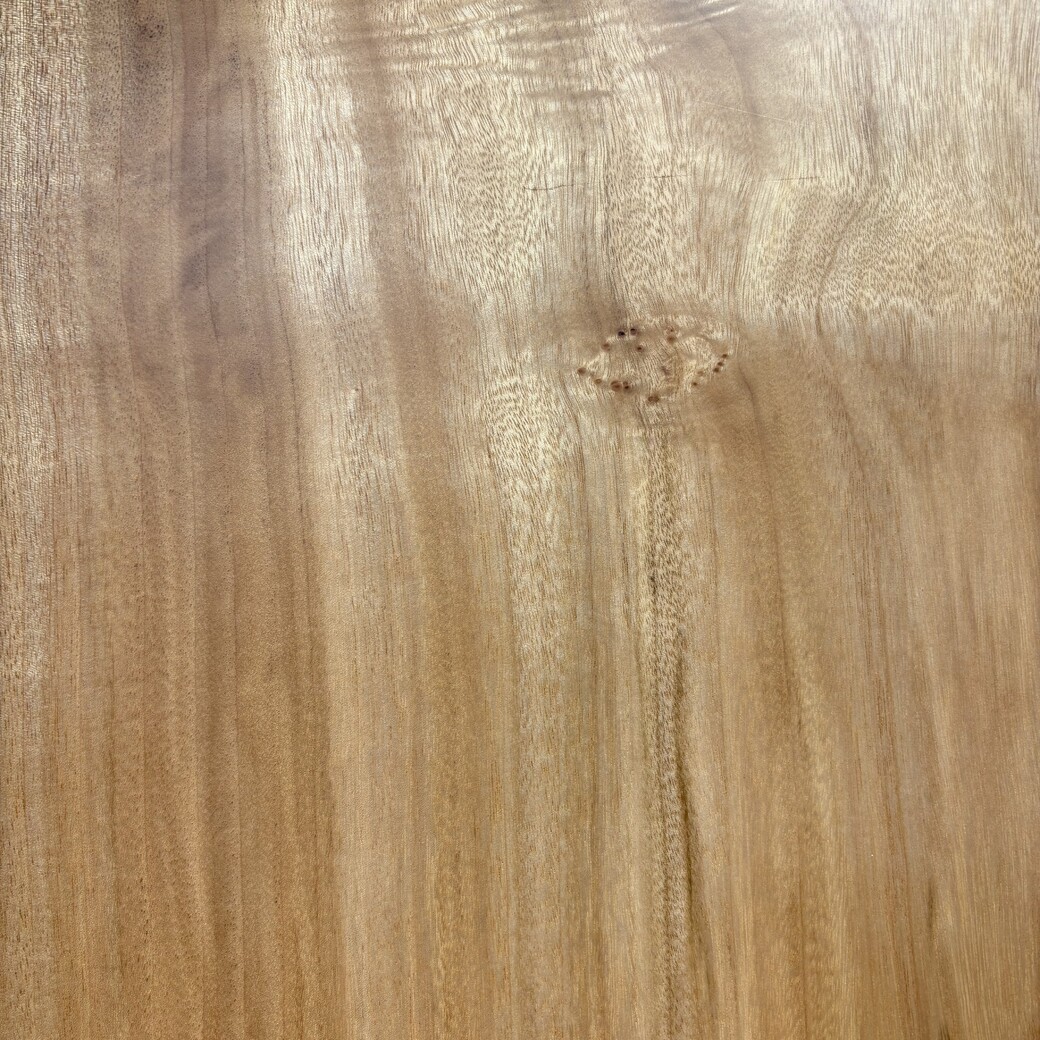 クス一枚板[1800-960]