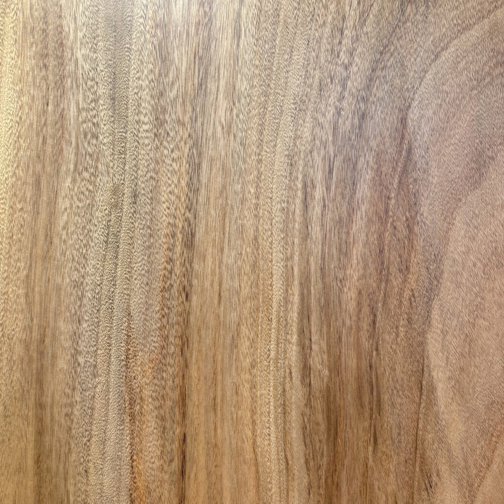 クス一枚板[1660-890]