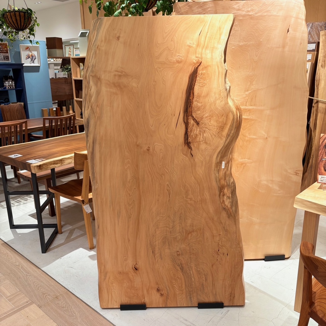 トチ一枚板[1665-850]