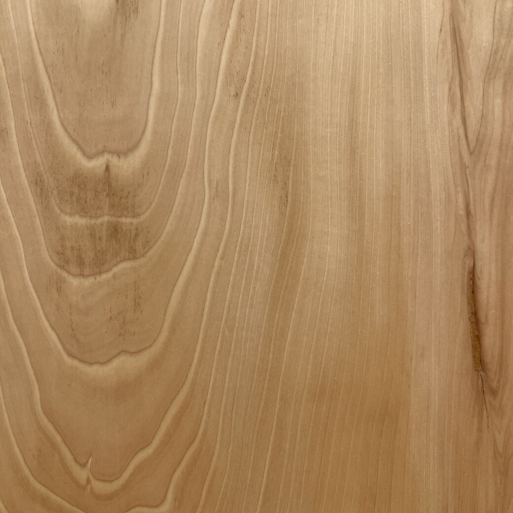 トチ一枚板[1145-590]