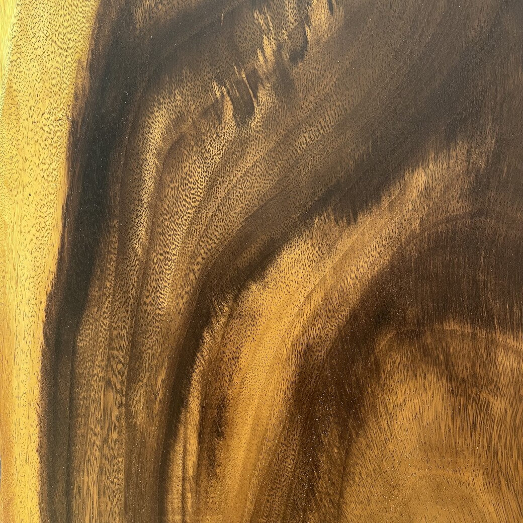 モンキーポッド一枚板[1405-590]