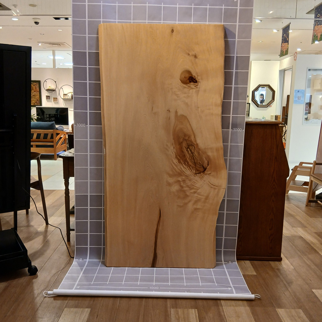 トチ一枚板[1660-830]