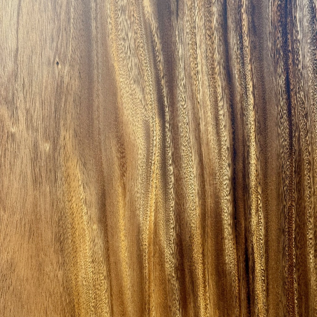 モンキーポッド一枚板[1665-820]