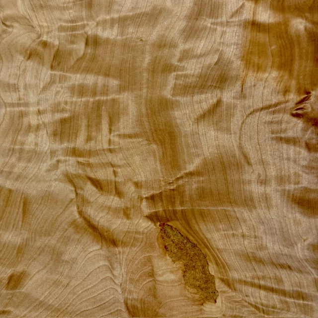 トチ一枚板[1495-800]